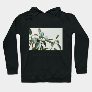 Leaves Hoodie